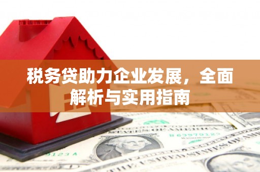 杏花岭税务贷助力企业发展，全面解析与实用指南