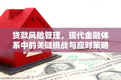 杏花岭贷款风险管理，现代金融体系中的关键挑战与应对策略
