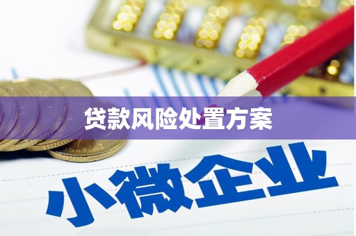 杏花岭贷款风险处置方案