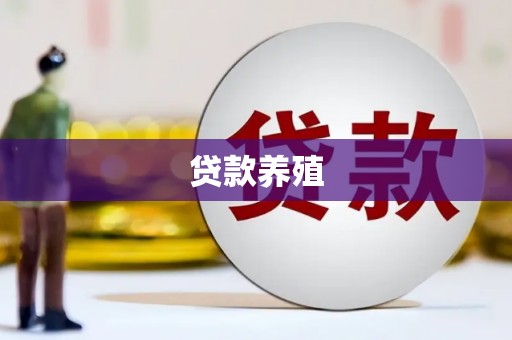 杏花岭贷款养殖