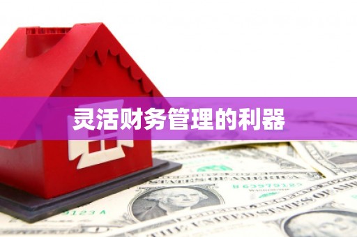 杏花岭灵活财务管理的利器