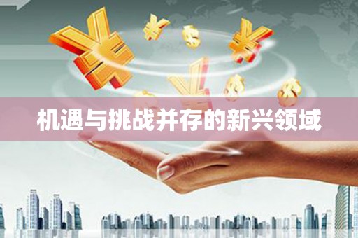 杏花岭机遇与挑战并存的新兴领域