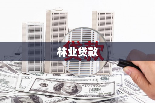 杏花岭林业贷款