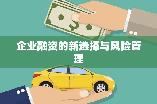 杏花岭企业融资的新选择与风险管理