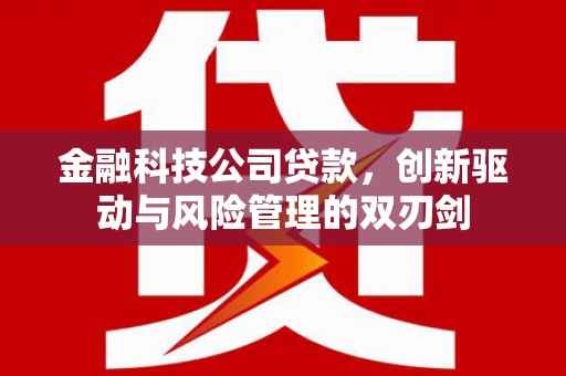 杏花岭金融科技公司贷款，创新驱动与风险管理的双刃剑